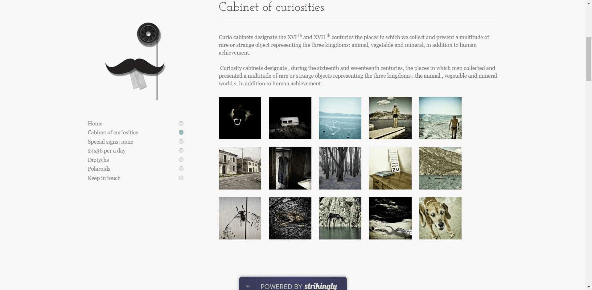 照片畫廊 照片畫廊